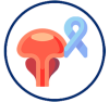 Prostate, bladder, kidney cancer